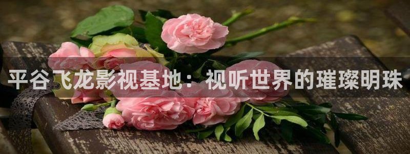 狼人影院 在线观看：平谷飞龙影视基地：视听世界的璀璨明珠