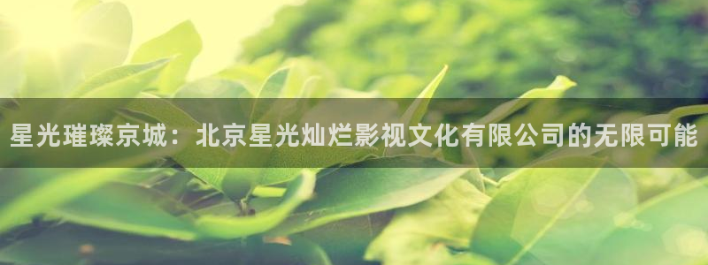 狼人伊人影院：星光璀璨京城：北京星光灿烂影视文化有限公司的无限可能